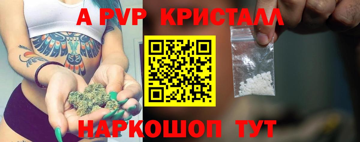 A-PVP СК Арзамас