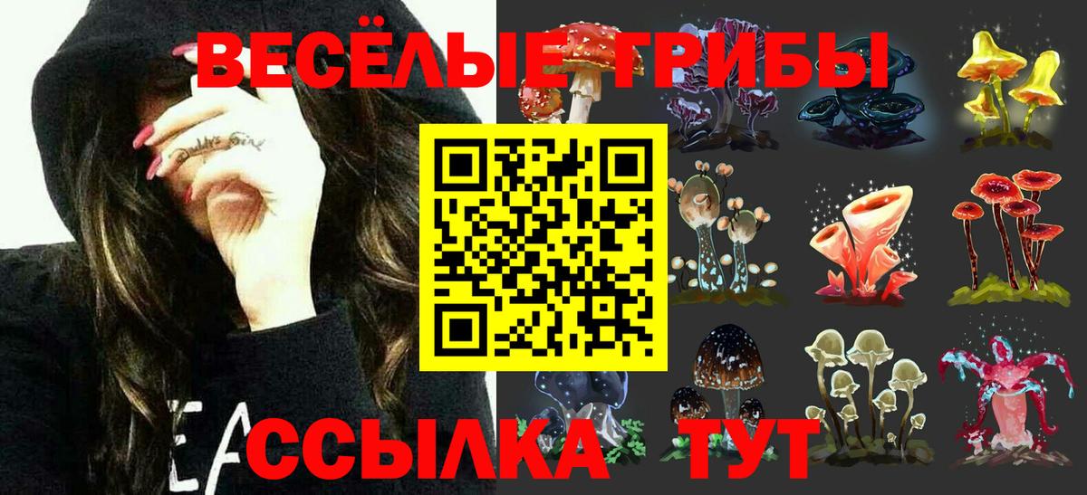 Галлюциногенные грибы ЛСД  Вход с VPN  Арзамас 
